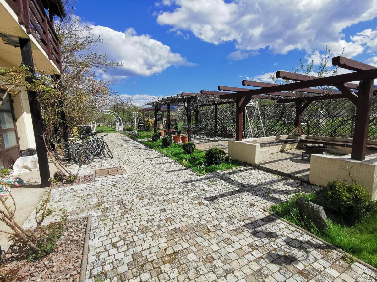 Pensiunea Casa Moga Bucium  Bagian luar foto