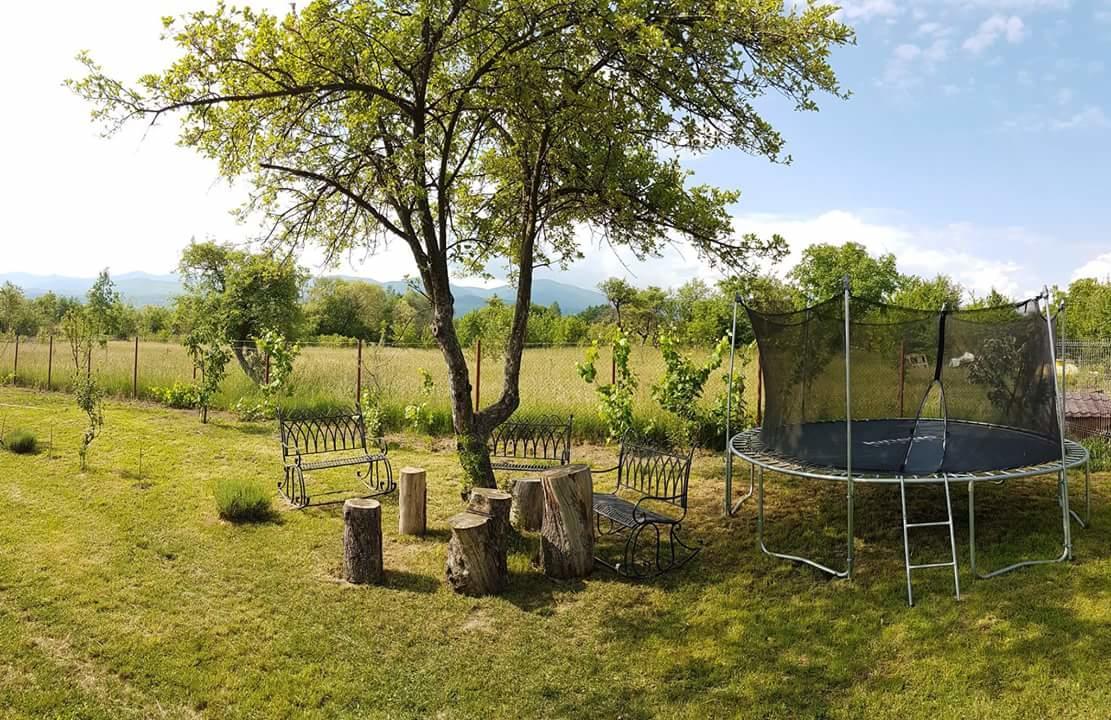 Pensiunea Casa Moga Bucium  Bagian luar foto