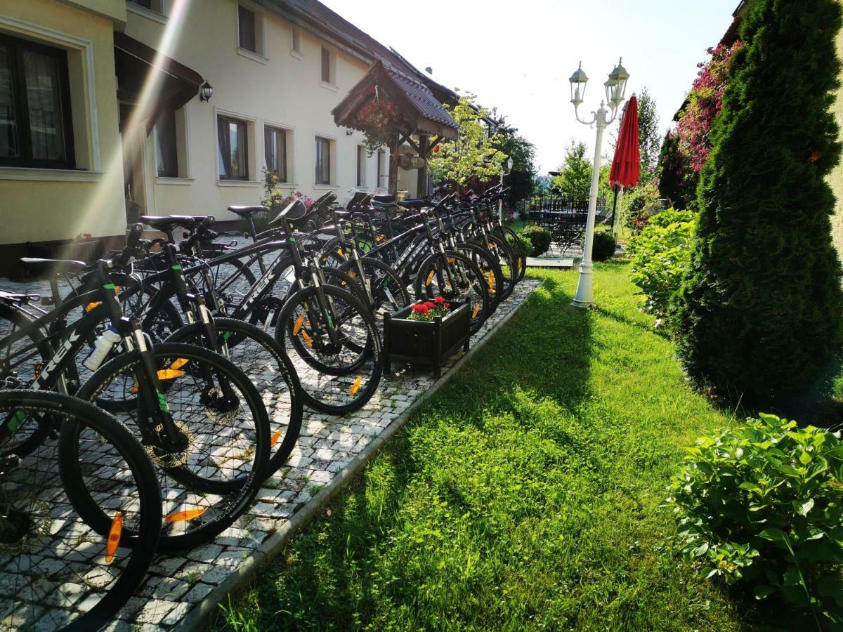 Pensiunea Casa Moga Bucium  Bagian luar foto